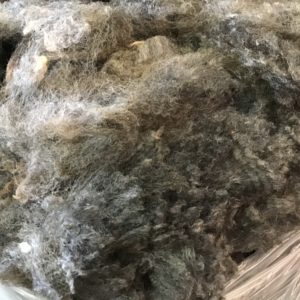 Woolma Romney Cross Wool