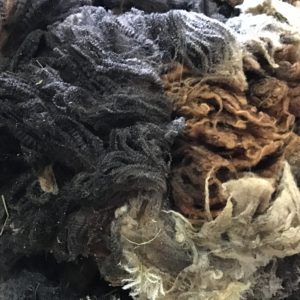 Coco Channel Farm Breed Wool